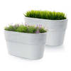 Prosperplast Plantenpot/bloempot Windsor - 2x - kunststof - ivoor wit - L28 x B15 x H15 cm - Plantenpotten
