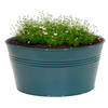 Mega Collections plantenpot/bloempot Bob - zink - zeegroen - D25 X H12 cm - IJzeren emmer / teil