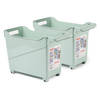 Plasticforte opberg Trolley Container - 2x - mintgroen - L38 x B18 x H26 cm - kunststof - Opberg trolley
