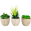 GreenDream® 3 stuks Kunstplanten - Nep planten Vetplanten - Cadeautip