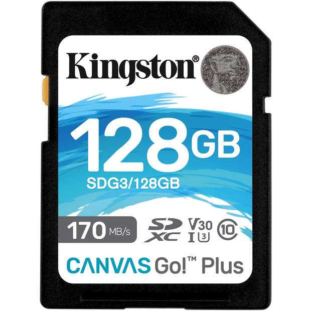 Kingston Kingston Canvas Go! Plus Flash Memory 128 Gb 170mbs Sd Uhsi