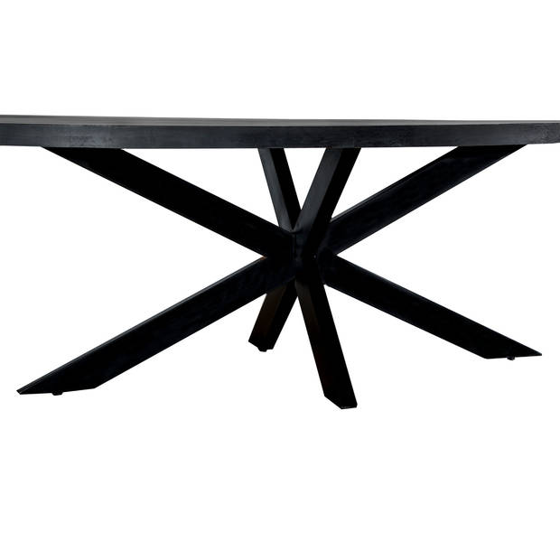 Livingfurn - Eetkamertafel Kala Oval Spider 180 cm - Mangohout / Gecoat Staal