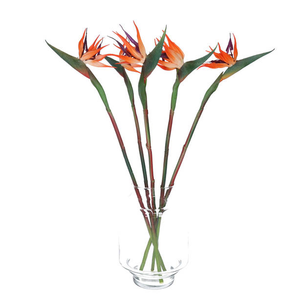 Bellatio Design Kunstbloem Strelitzia - 58 cm - losse tak - kunst zijdebloem - Paradijsvogelplant - Kunstbloemen