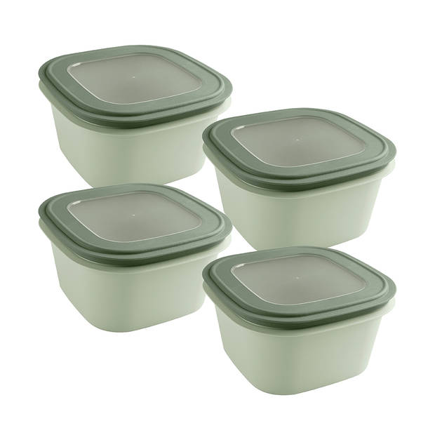 Sigma home vershouddoos 3,8L groen - Set van 4