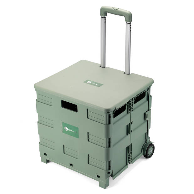 Packaway XL Opvouwbare Boodschappentrolley met wielen - Boodschappenkrat - Opbergbox - Vouwkrat - 50 Liter - Groen