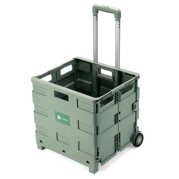 Packaway XL Opvouwbare Boodschappentrolley met wielen - Boodschappenkrat - Opbergbox - Vouwkrat - 50 Liter - Groen