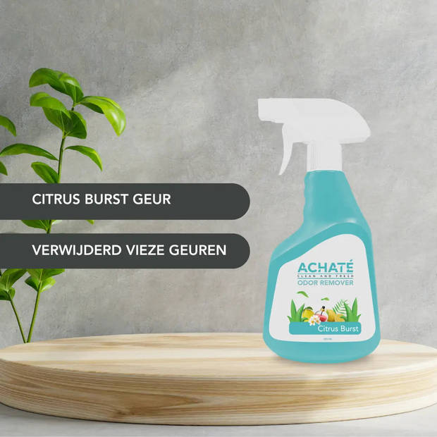 Clean and Fresh Geurverwijderaar - Citrus burst Geur - 500ml