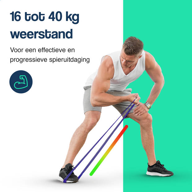 Hulser Resistance band 16 tot 40 kg - 104 / 208 cm - Weerstandsband pull up - Fitness weerstandband - Elastiek - Paars