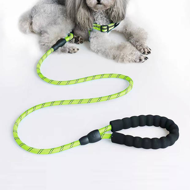 Intirilife reflecterende nylon hondenriem dierenriem in groen met 1.5 meter lengte voor het uitlaten van uw huisdier