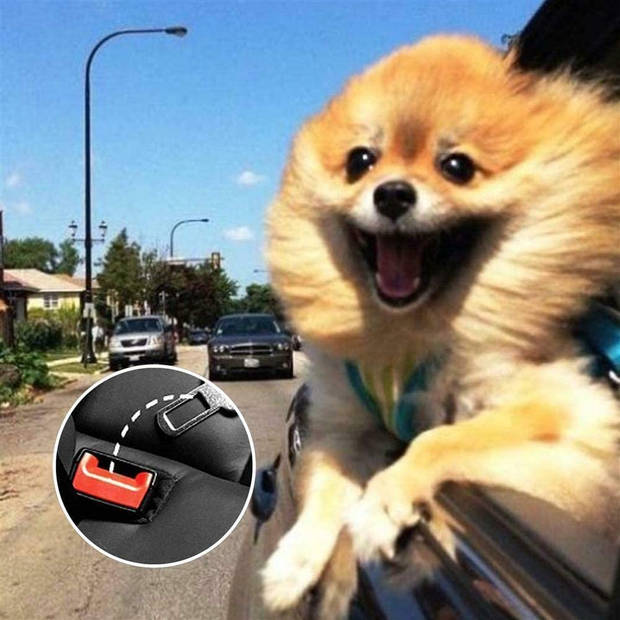 Intirilife hondenveiligheidsgordel in zwart, elastische hondenriem voor alle hondenrassen, compatibel met alle autos