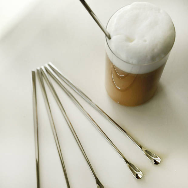 Intirilife set van 6 latte macchiato lepels van roestvrij staal in zilver - lengte 22 cm - langwerpige dessertlepels