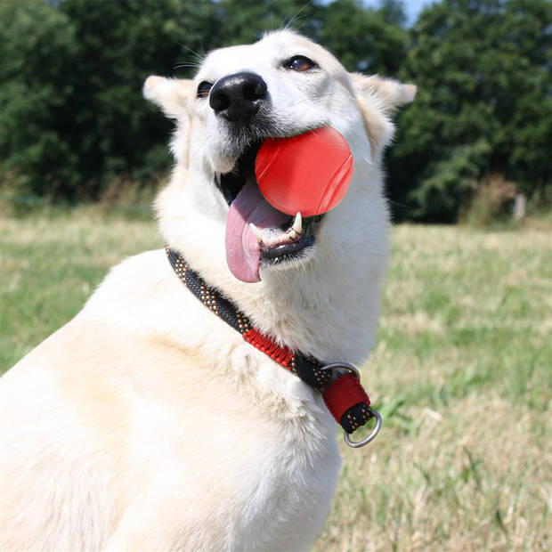 Intirilife rubberen hondenbal 7 cm in knalrood – hondenbal huisdier speelgoed met 7 cm diameter ideaal voor tandreinigin