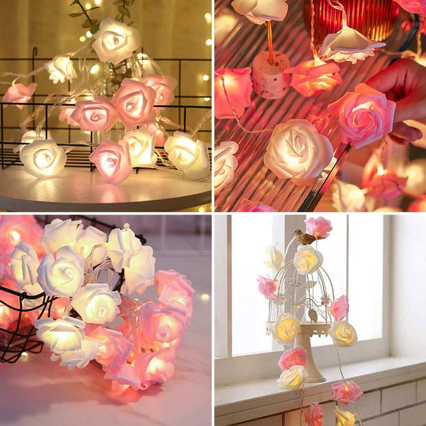 Romance Rose Lights