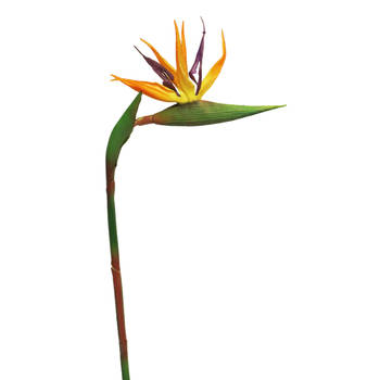 Bellatio Design Kunstbloem Strelitzia - 58 cm - losse tak - kunst zijdebloem - Paradijsvogelplant - Kunstbloemen