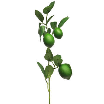 Bellatio Design Kunstbloem citrusfruit tak limoen - 74 cm - groen - kunst zijdebloemen - Kunstbloemen
