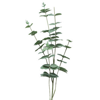 Bellatio Design Kunstbloem/kunsttak Eucalyptus Cinera - 90 cm - 5 takken - kunst zijdebloemen - Kunstbloemen