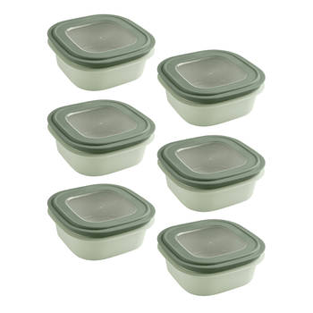 Sigma home vershouddoos 1,3L groen - Set van 6