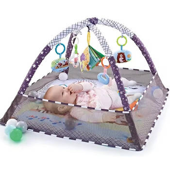 Happy Baby - Play Gym - Speelmat voor Baby's - Inclusief Accessoires