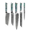 Shinrai Japan - Parelmoer Jewels Serie 5-delige Damascus Messenset