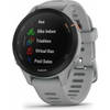 Garmin Forerunner 255S lichtgrijs/zwart (764129)