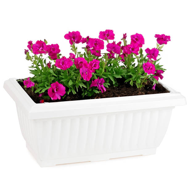 Plasticforte Plantenpot/bloempot Windsor - buiten - kunststof - wit - L33 x B18 x H15 cm - Plantenpotten