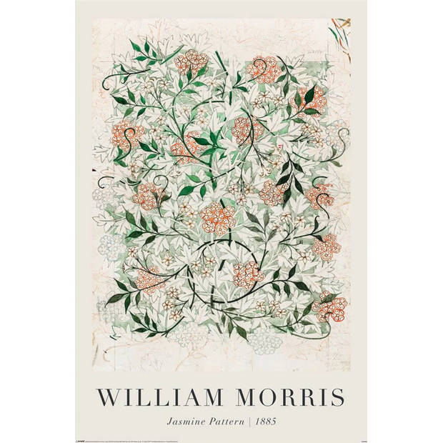 Poster William Morris Jasmine in Progress 61x91,5cm