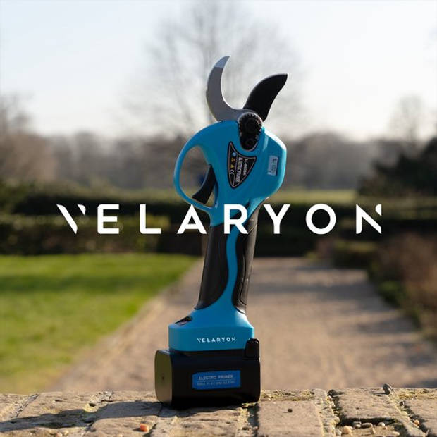 Velaryon Elektrische Snoeischaar met Telescopische Steel Edition PRO22 - 2x Lithium accu - Incl.koffer