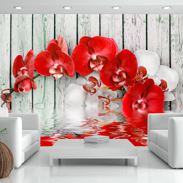 Fotobehang - Ruby Orchid - Vliesbehang