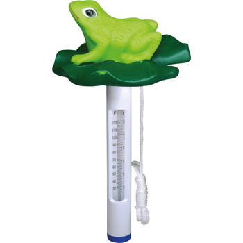 BSI - Thermometer met figuur Kikker 1 stuk