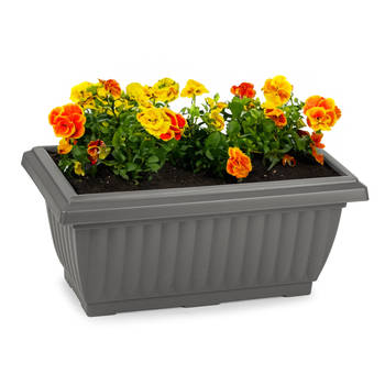Plasticforte Plantenpot/bloempot Windsor - buiten - kunststof - antraciet - L33 x B18 x H15 cm - Plantenpotten