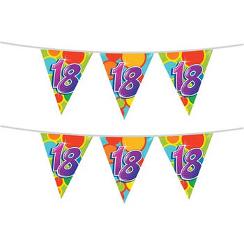 2x stuks leeftijd verjaardag thema vlaggetjes 18 jaar plastic 10 meter - Vlaggenlijnen