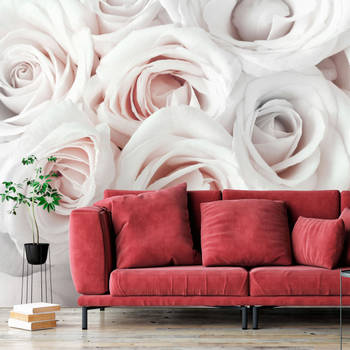 Fotobehang - Satin Rose Pink - Vliesbehang