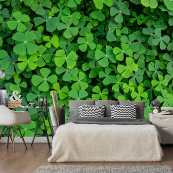 Fotobehang - Green Clover - Vliesbehang