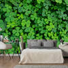 Fotobehang - Green Clover - Vliesbehang