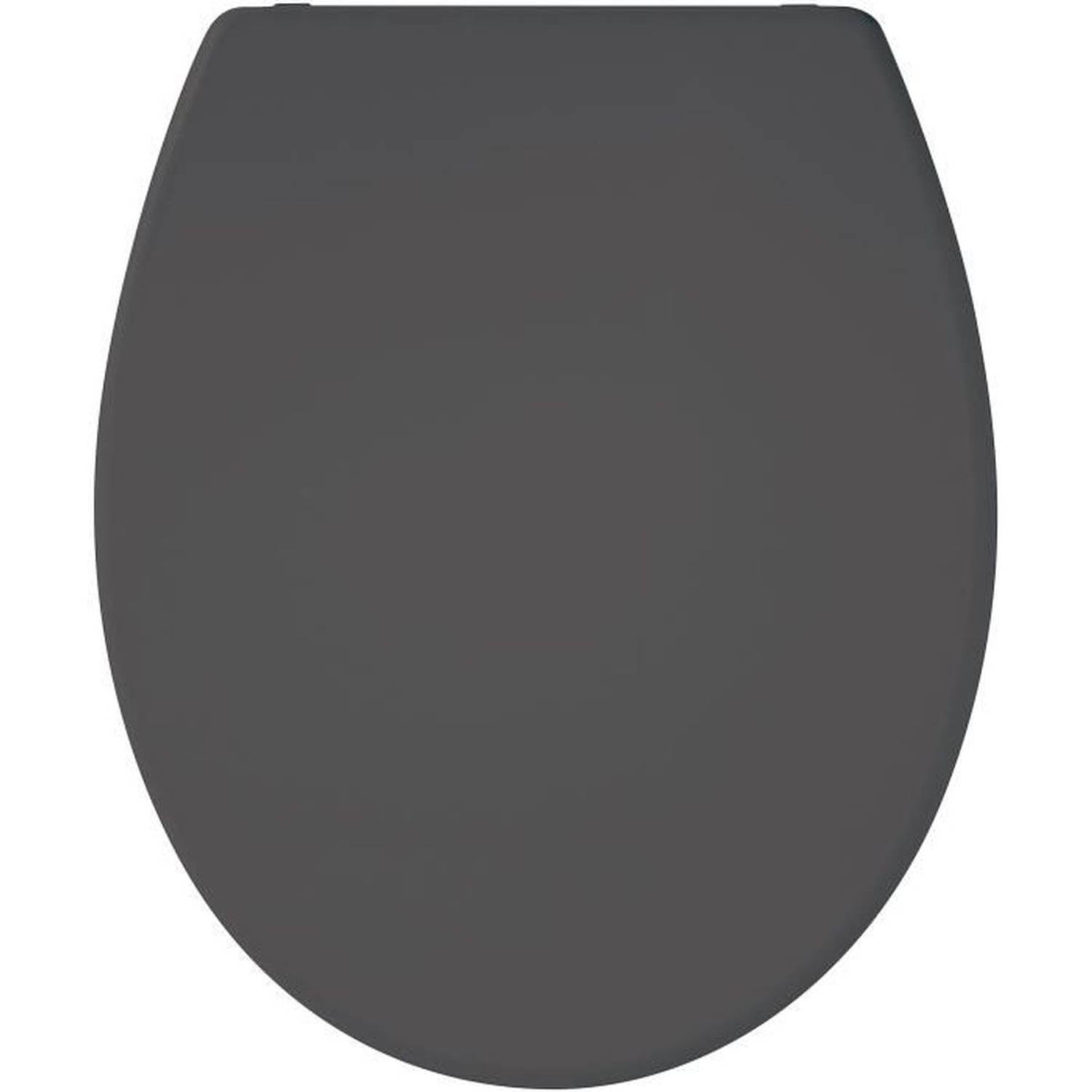Toiletbril Gelco Donker grijs Zilverkleurig