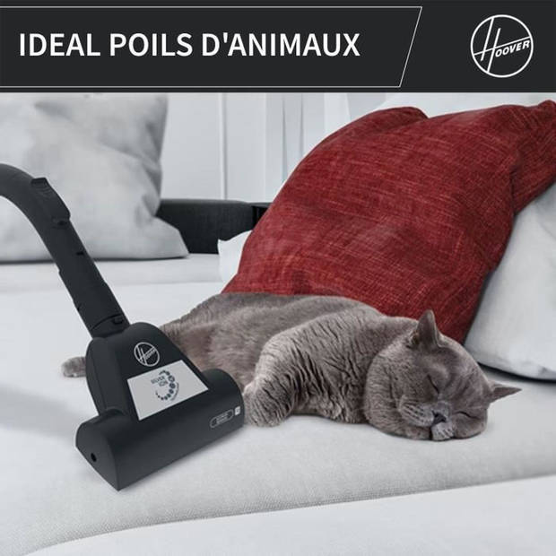 Zakloze stofzuiger - HOOVER - HP320PET - 850 W - 2 L - 75 dBA - Speciaal voor dieren