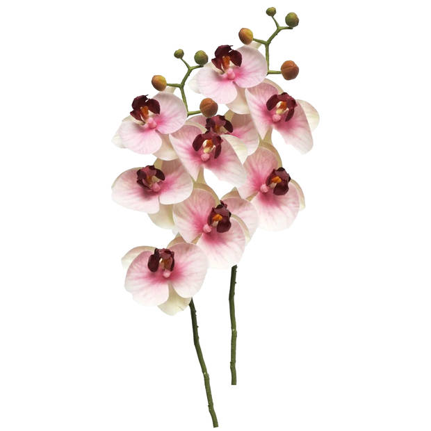 Bellatio Design Kunstbloem Orchidee Bora - roze - 58 cm - losse steel - kunst zijdebloem - Kunstbloemen
