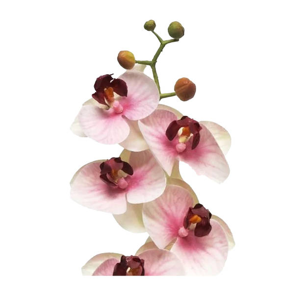 Bellatio Design Kunstbloem Orchidee Bora - roze - 58 cm - losse steel - kunst zijdebloem - Kunstbloemen
