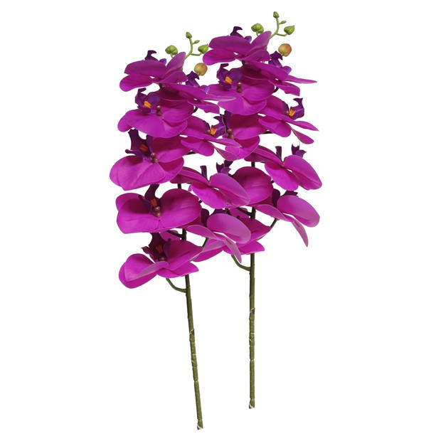 Bellatio Design Kunstbloem Orchidee Bora - fuchsia - 77 cm - losse steel - kunst zijdebloem - Kunstbloemen