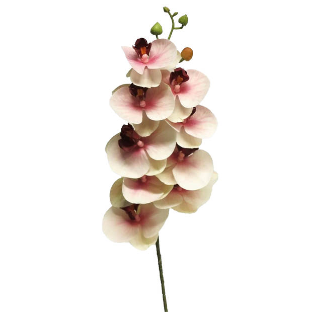 Bellatio Design Kunstbloem Orchidee - roze - 77 cm- losse steel - Kunstbloemen