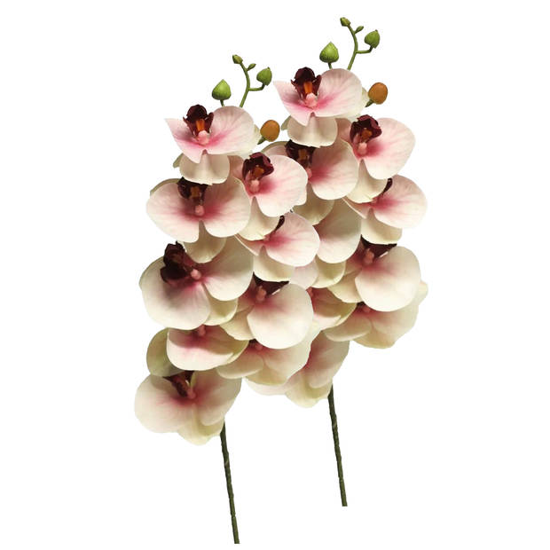 Bellatio Design Kunstbloem Orchidee - roze - 77 cm- losse steel - Kunstbloemen