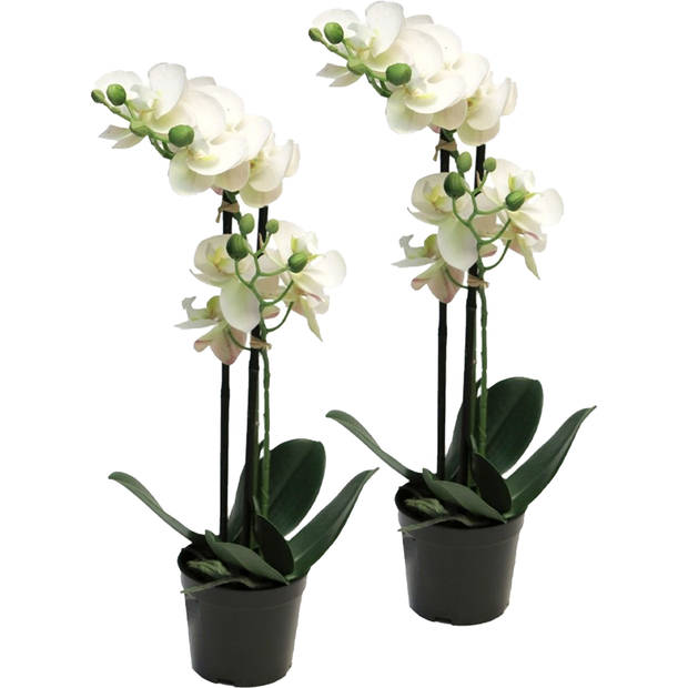 Bellatio Design Orchidee bloemen kunstplant Bora - bloemen/bloemetjes - wit - H50 cm - Phalaenopsis - Kunstplanten