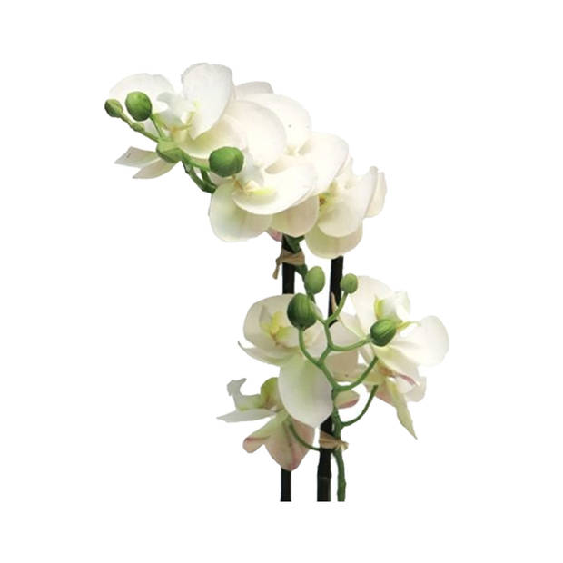 Bellatio Design Orchidee bloemen kunstplant Bora - bloemen/bloemetjes - wit - H50 cm - Phalaenopsis - Kunstplanten