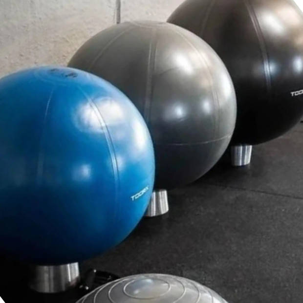 Toorx Fitness Gymbal PRO - 500 kg - Fitnessbal - Zitbal 75 cm - Donkergrijs