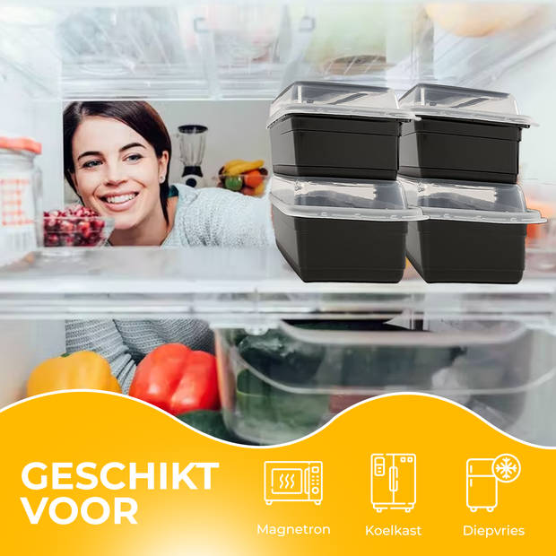 HGMD Meal Prep Bakjes - 10 stuks - 3 compartimenten - Plastic Vershouddoos - 1L - BPA vrij