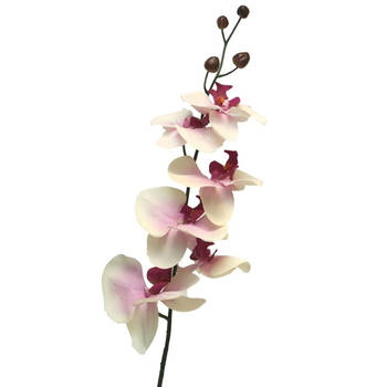 Bellatio Design Kunstbloem Orchidee Milan - wit/roze - 78 cm - losse steel - kunst zijdebloem - Kunstbloemen