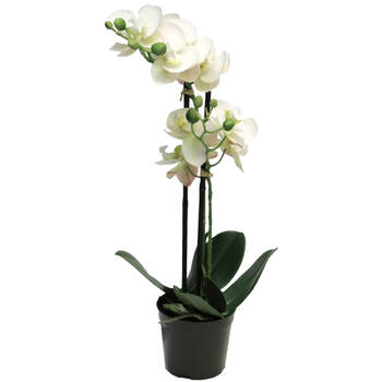 Bellatio Design Orchidee bloemen kunstplant Bora - bloemen/bloemetjes - wit - H50 cm - Phalaenopsis - Kunstplanten