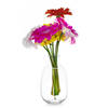 Giftdecor Bloemenvaas Crystal - luxe deco glas - helder transparant - D21 x H36 cm - ovale bol vaas - Vazen