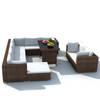 vidaXL 10-delige Loungeset met kussens poly rattan bruin