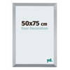 Fotolijst 50x75cm Zilver Glans MDF Catania